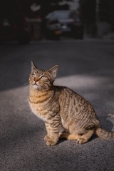 6566