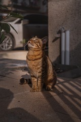 6576