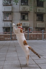 8999