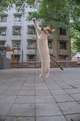 8996