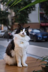 5723