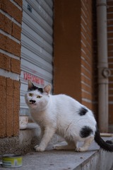 168612