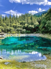 307A6B77-56CF-41DA-936C-DE52619B3F47/L0/001