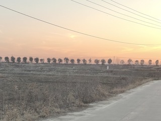 1000012675