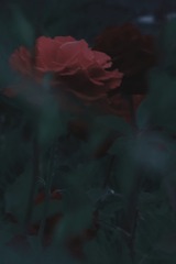 1204832