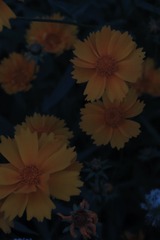 1204835