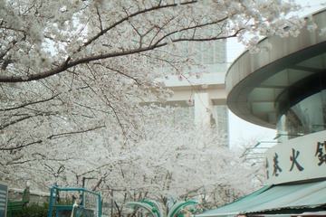 7675FEB9-EFCE-4BCE-BAB8-20F70584AE82/L0/001