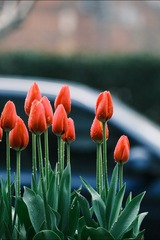 D8B98D96-0699-4237-B090-AC26C002ED6A/L0/001