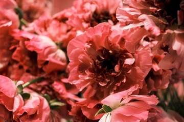 275E793C-C7BC-4DB4-B311-145A87FC8D21/L0/001