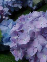 31D347C9-7D59-4EA5-9885-910702FB6210/L0/001