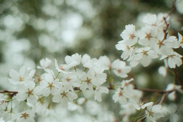 E31395EB-02EB-4916-8BB9-86D3DD04EFF3/L0/001