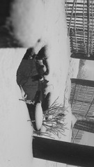 1057264