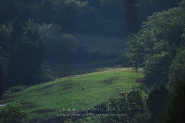 94459982-D82A-4FB5-A386-315576262EC4/L0/001