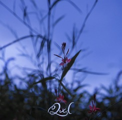 5C59906D-FDE2-480D-BF15-B8F0504AF5EF/L0/001
