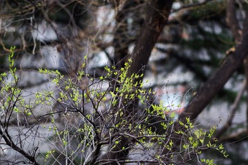 DSC02526
