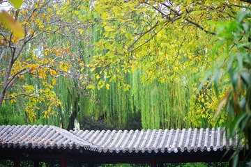 000_8000_副本