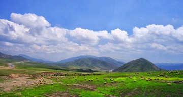 SAM_2706_1_