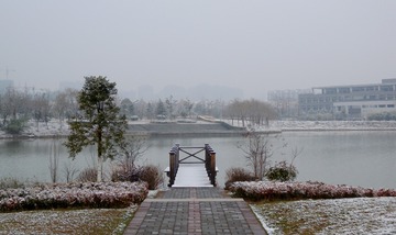 DSCN9546__