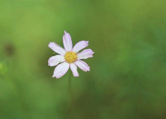 17917