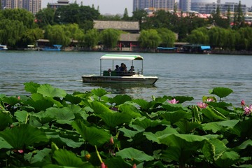 DSC03121