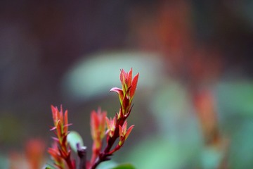 DSC02485