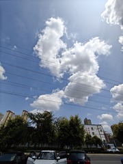 1000001247
