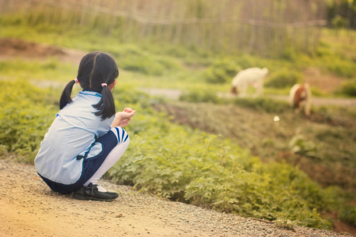 玩的路上遇到几只羊,便蹲下看羊吃草