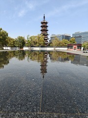 1000008612