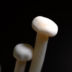 103955