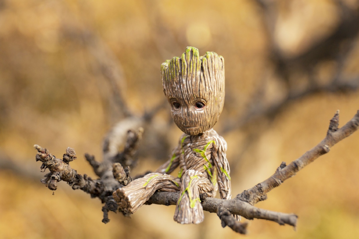 树宝宝格鲁特受一位图虫大神的创意启发模仿拍摄的一组