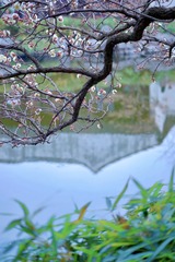 303D1CB2-45AE-465F-B9EB-F3309B252D48/L0/001