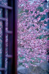 A0F7B78B-DF2B-44C1-BD5D-EE3CCB1CCE27/L0/001