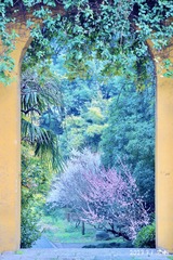 1AB27DA0-83D1-47CB-8CB2-BD57401C8426/L0/001