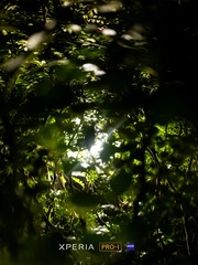1000009293