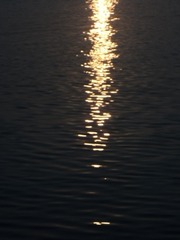 1000029774