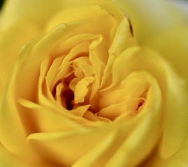CCDBCBF5-0769-4243-ACD8-A9FDFF490CD8/L0/001