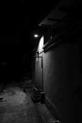 1000022576