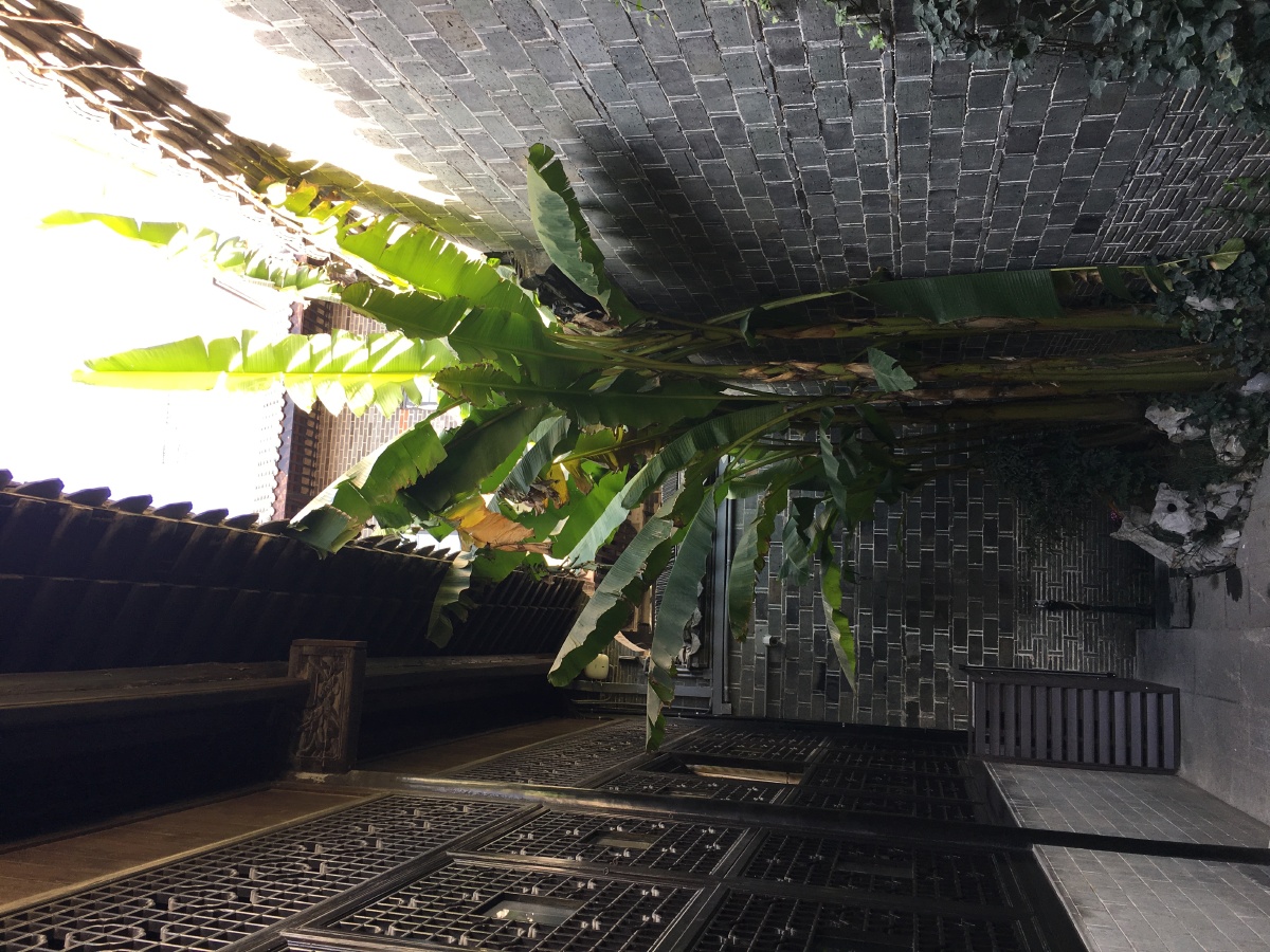 安徽合肥李鸿章故居芭蕉院子街景