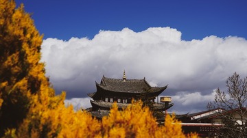D8FE833D-AA4D-43B0-9DAE-659D872F6580/L0/001
