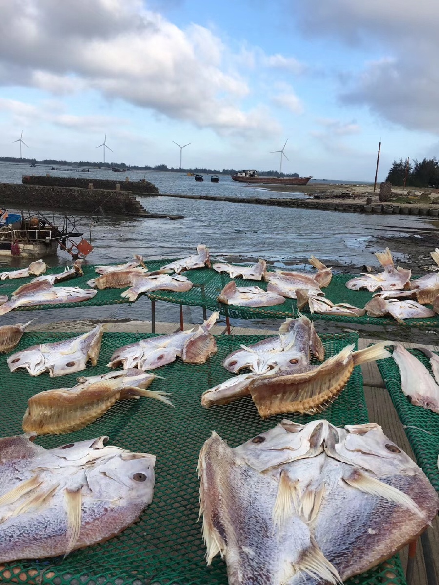 湛江徐闻外罗港风景鱼干海鲜