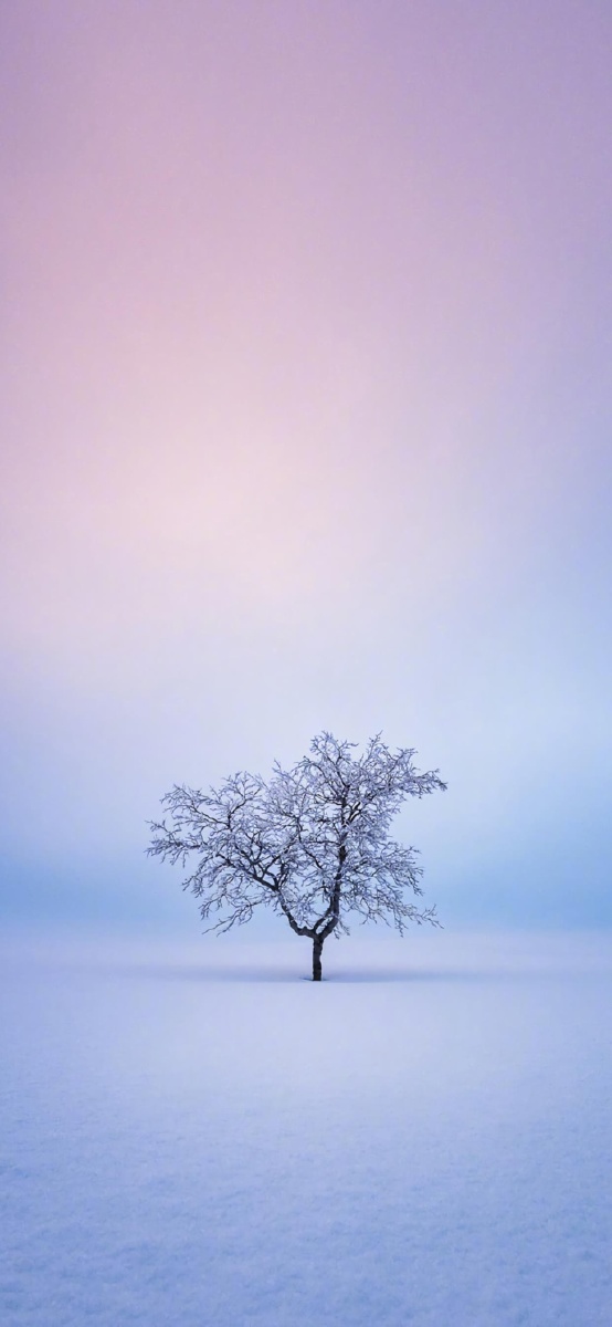 雪是冬天最基本的象征