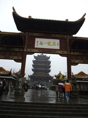 DSCF3776