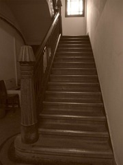 DSCF3613