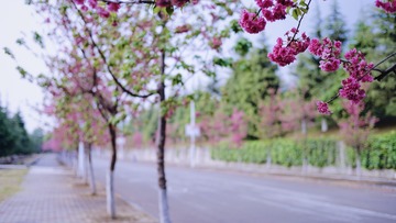 12BBF442-3393-4B0D-813A-DCFF41861D20/L0/001
