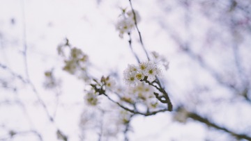 945B22F1-7AFF-41A3-84AC-97144F2118FF/L0/001