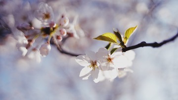 12588823-AB66-4AB5-B4A7-1C2081B97D93/L0/001