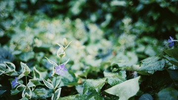 0D1203F5-0DA3-4D6A-9F93-FB73CEAE8BF4/L0/001