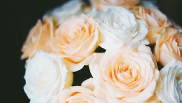 73688D3B-C8CE-47CD-9A2A-7E302597F69C/L0/001