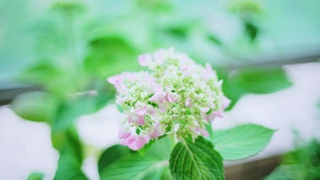 3CB9CC68-5A24-449C-B104-785EB103FC4E/L0/001
