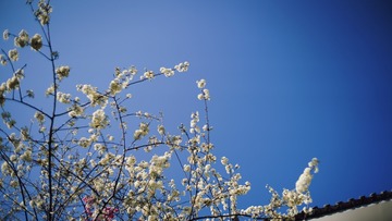 1B069D4A-6FD8-4E56-AB46-055B606428D2/L0/001